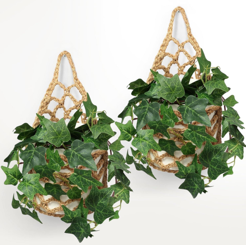 2-Pack Wall Plant Holder for 15.2cm Pot